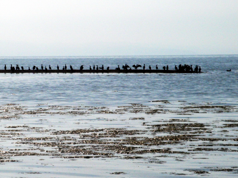 dscf0361.jpg