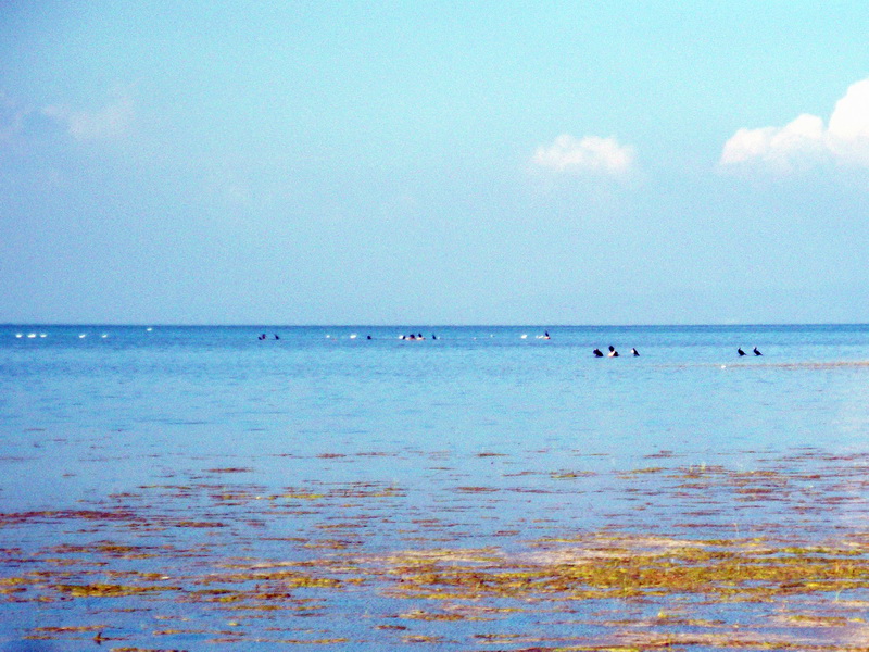 dscf0355.jpg