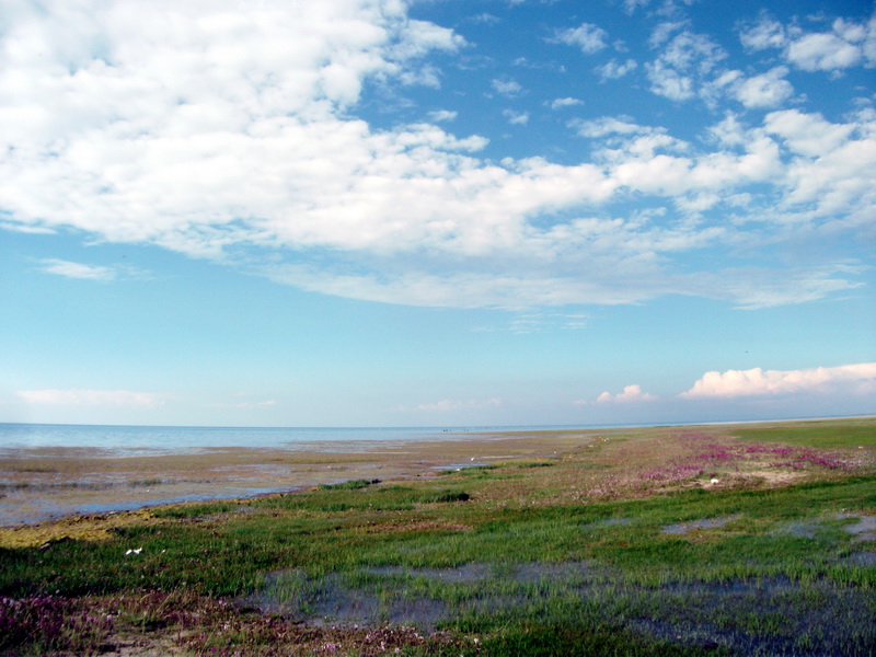 dscf0364.jpg