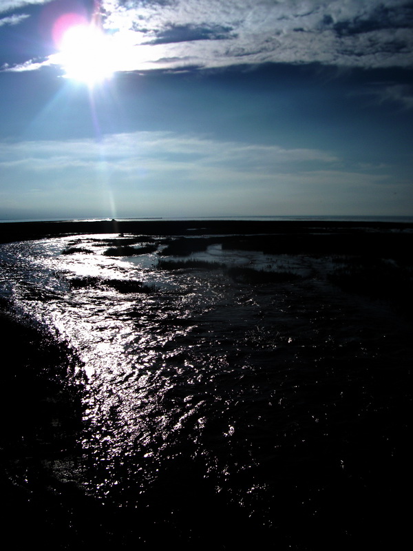 dscf0366.jpg