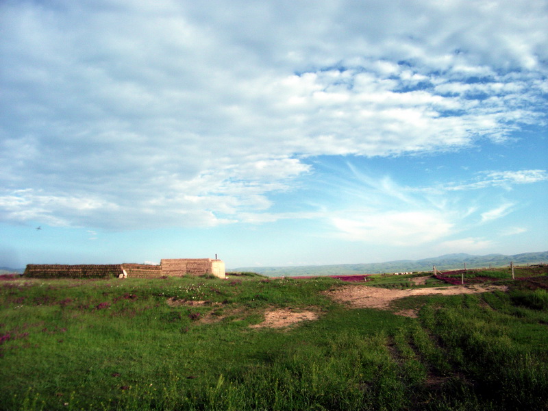 dscf0369.jpg