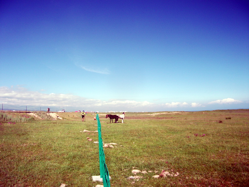 dscf0410.jpg