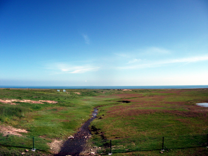 dscf0412.jpg