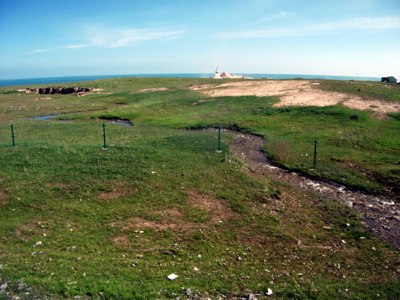 dscf0423.jpg