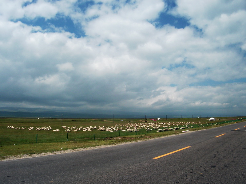 dscf0431.jpg