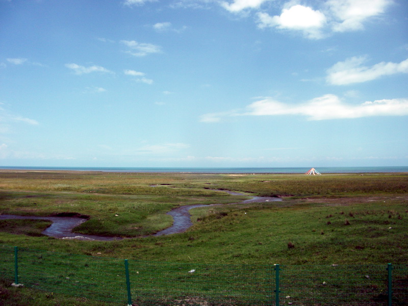 dscf0447.jpg