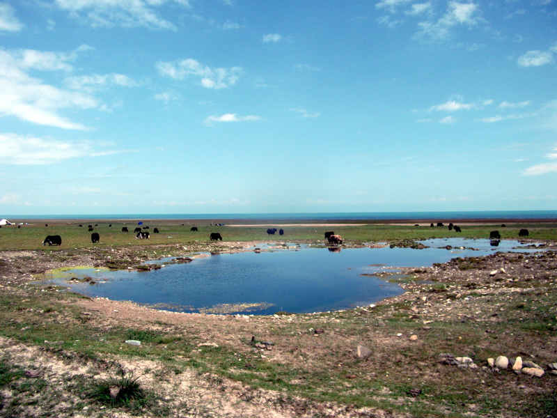 dscf0441.jpg