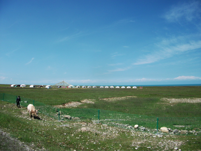 dscf0461.jpg
