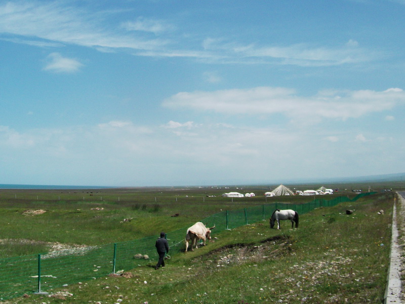 dscf0462.jpg