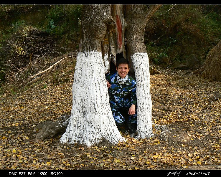 20081110134957.jpg