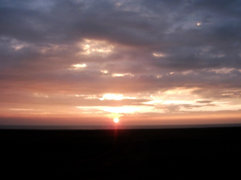 dscf0515.jpg