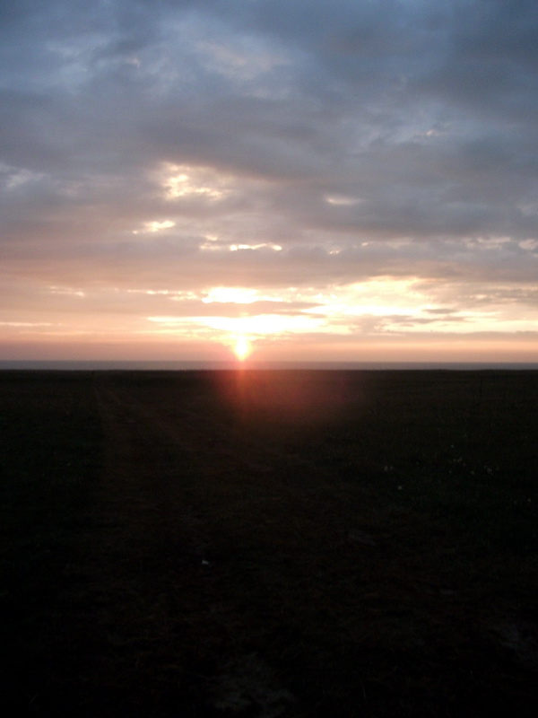 dscf0519.jpg