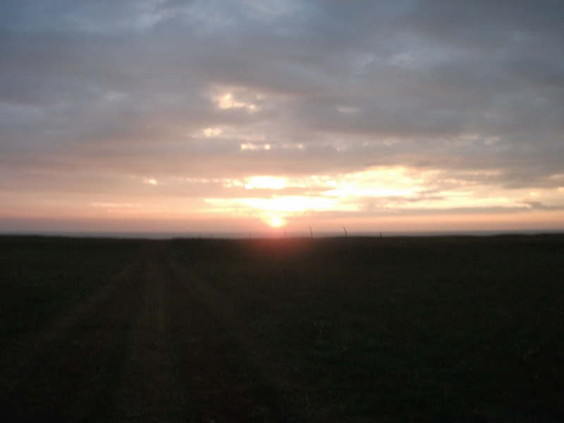 dscf0522.jpg