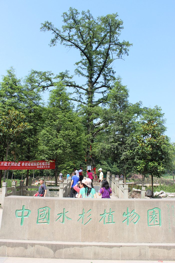 img_2295_副本.jpg