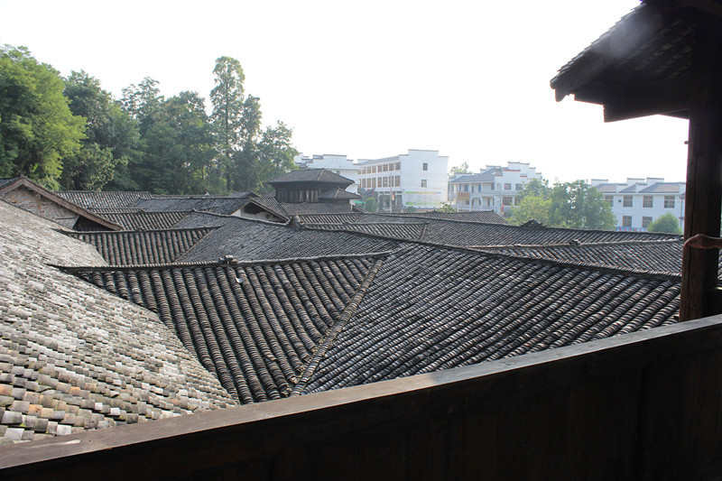 img_2310_副本.jpg