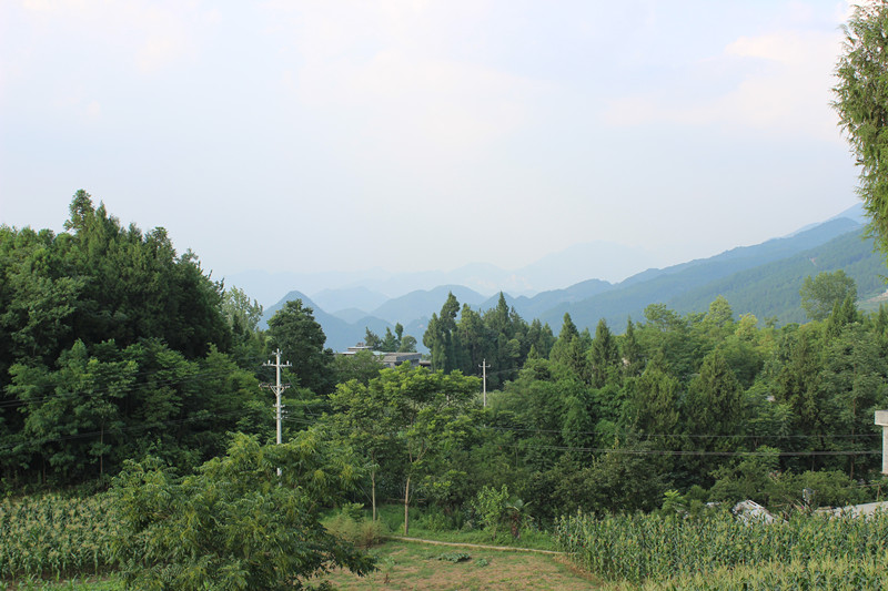 img_2326_副本.jpg