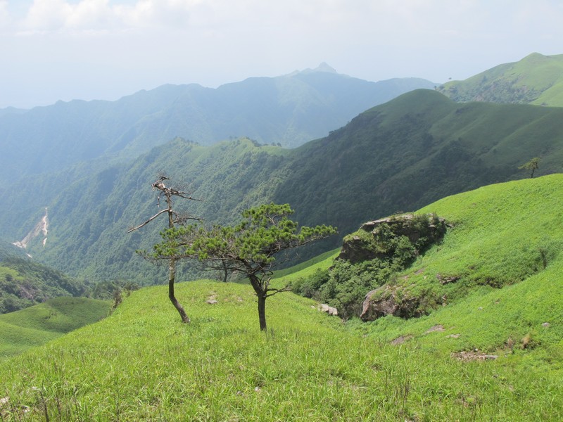 simg_0738.jpg