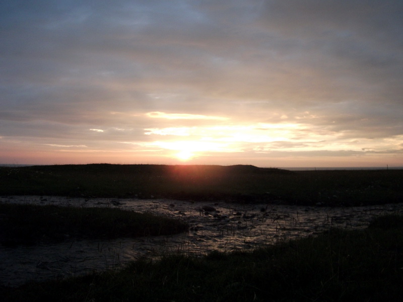 dscf0526.jpg