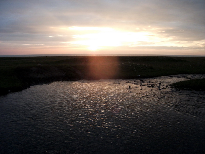 dscf0528.jpg