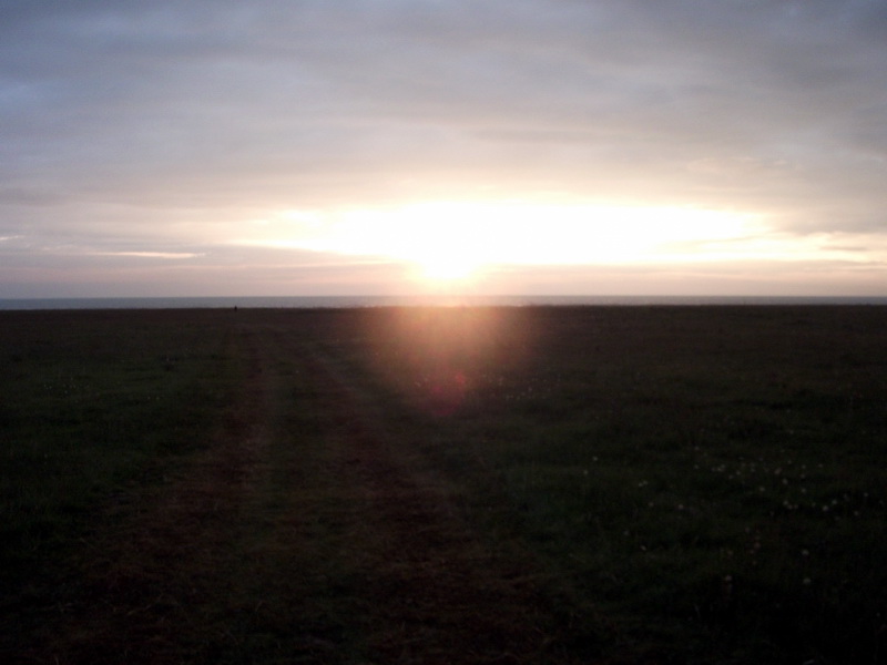 dscf0533.jpg