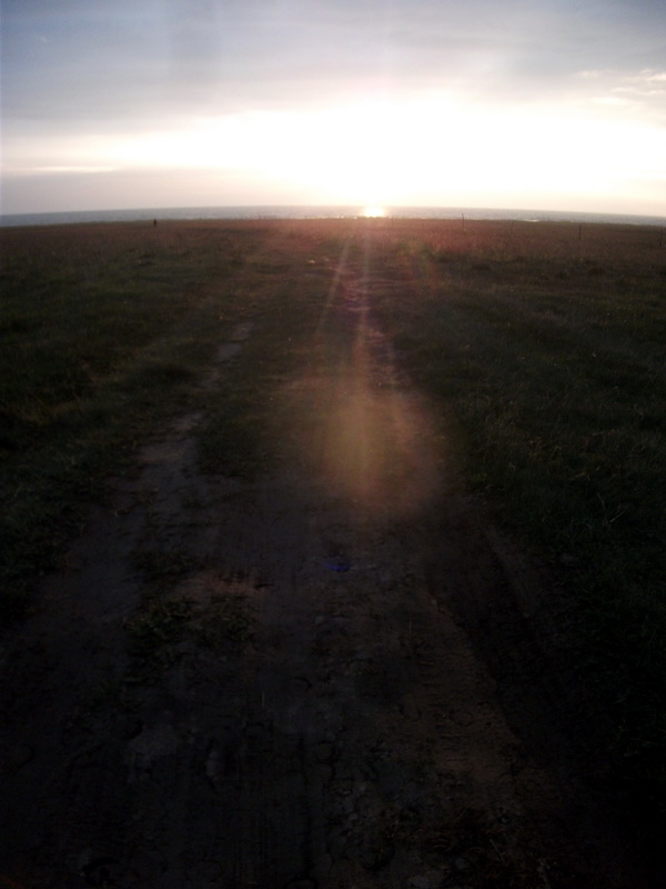 dscf0535.jpg