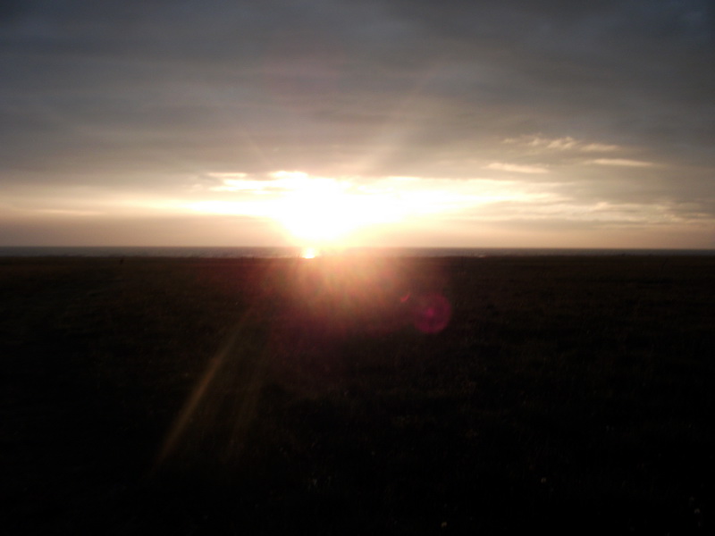 dscf0537.jpg