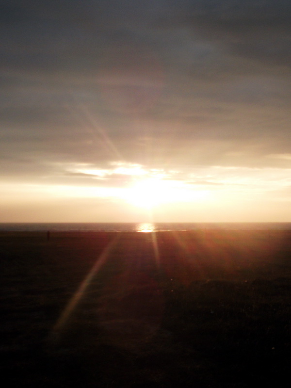dscf0538.jpg