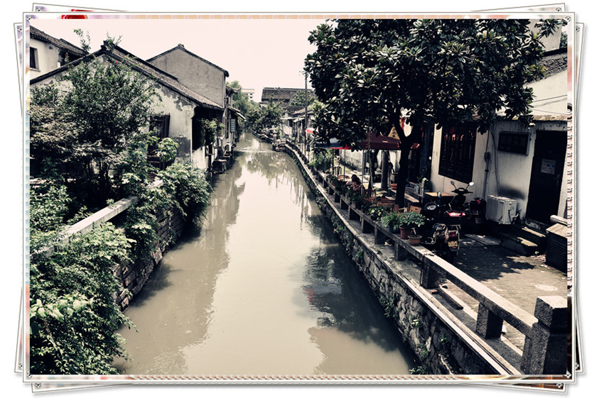 dsc_0155___.jpg