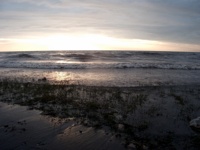 dscf0544.jpg