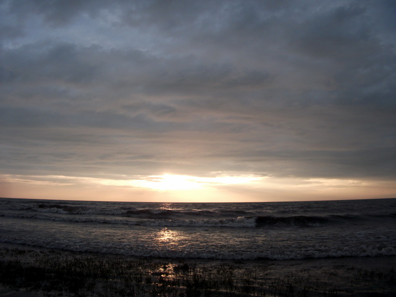 dscf0541.jpg
