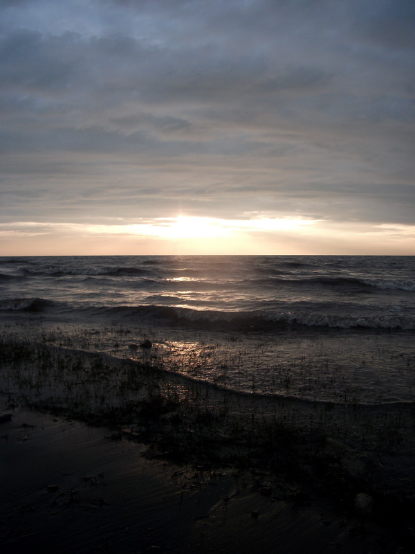 dscf0542.jpg