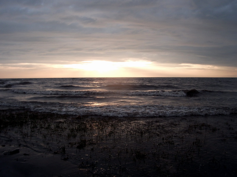 dscf0545.jpg