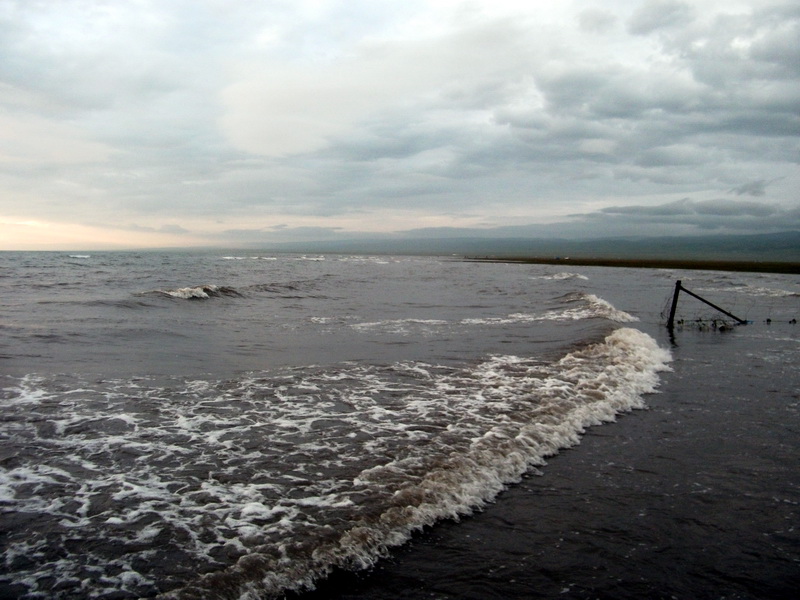 dscf0553.jpg