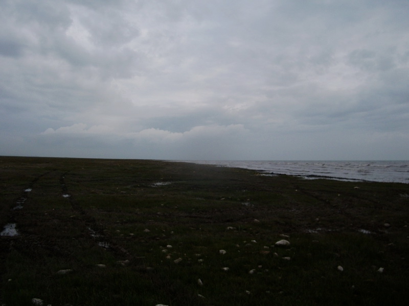dscf0554.jpg