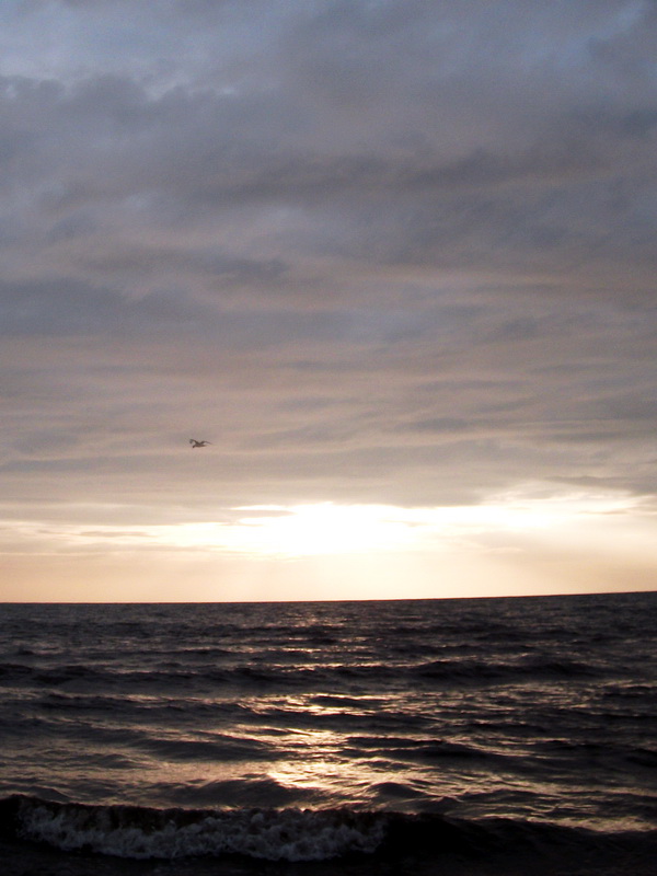 dscf0550.jpg