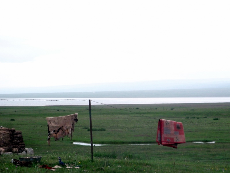 dscf0603.jpg