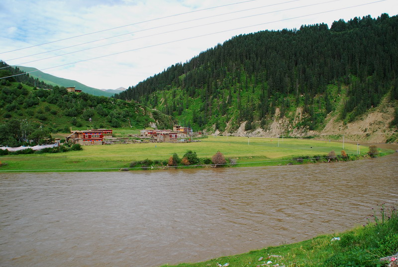 dsc_4312.jpg