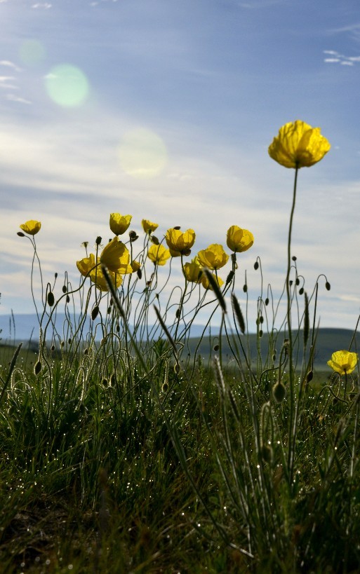 20130703231852.jpg