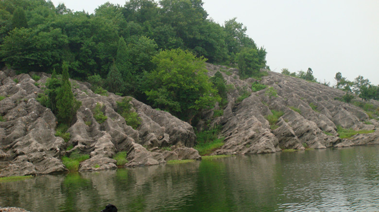 dsc00615_.jpg