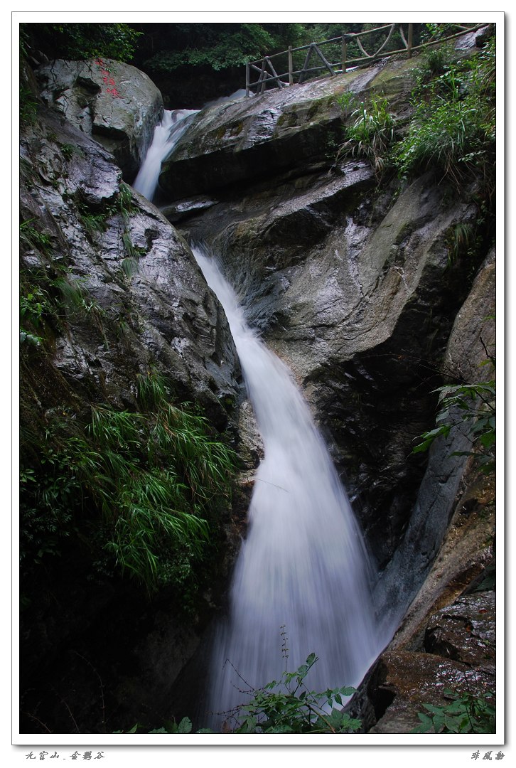 dsc_5974_neo_img.jpg
