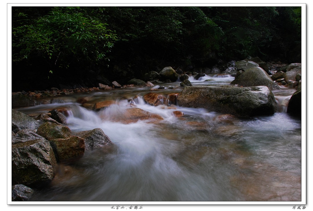 dsc_5976_neo_img.jpg