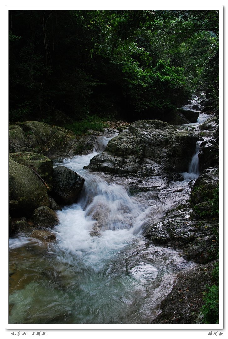 dsc_5985_neo_img.jpg