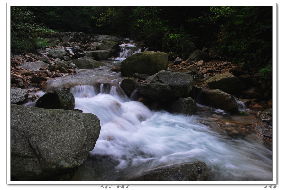 dsc_5993_neo_img.jpg