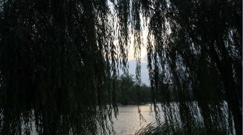 09.jpg