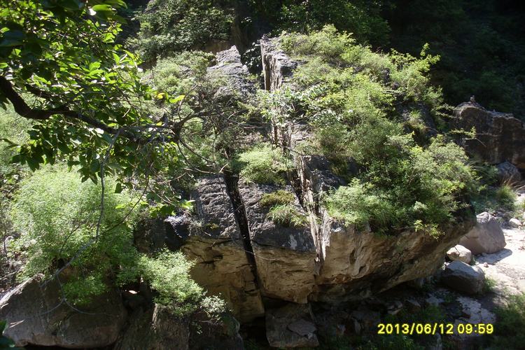 52_183033_c8d3ff54f849f7f.jpg