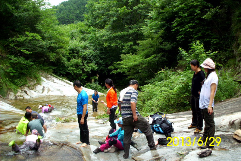 103.jpg
