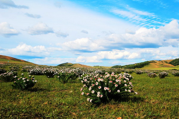 img_8166_СС_СС.jpg