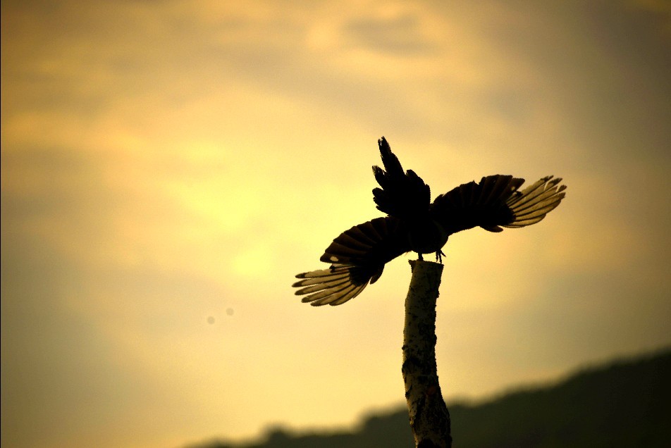 20130705142354.jpg