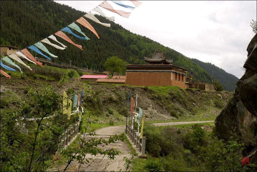 p1010487.jpg
