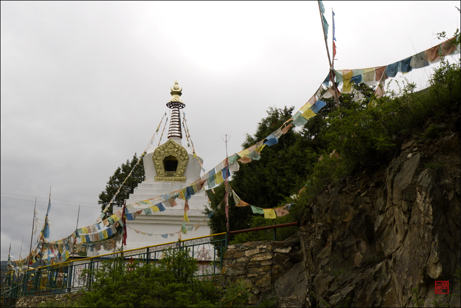p1010489.jpg
